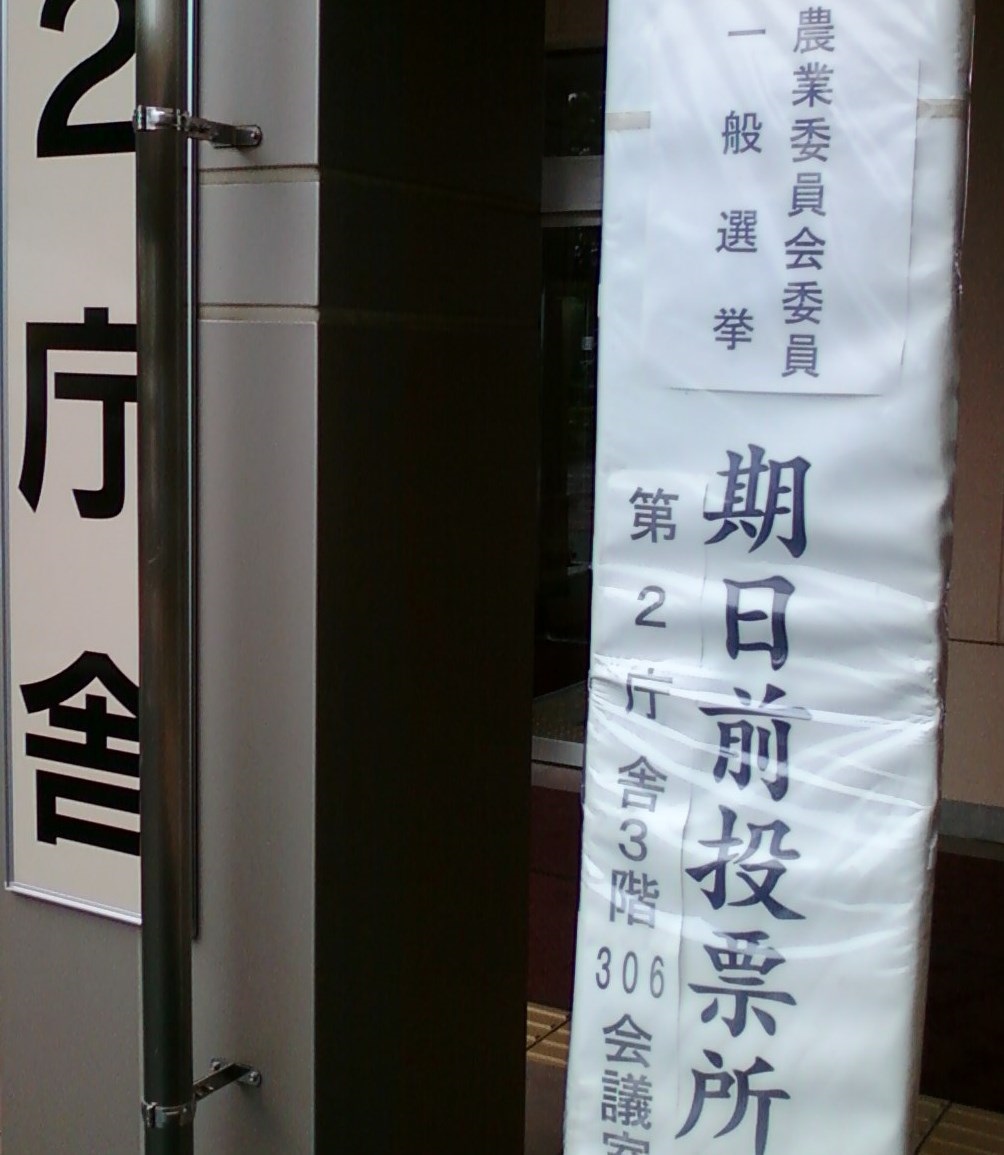 １３日が投票日です
