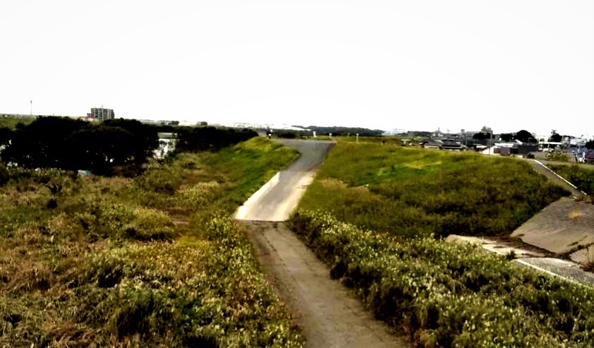流山橋から見た江戸川の土手　土手後ろ側の住宅群は流山７丁目　水位の高さまでアスファルトの色が変化しています。