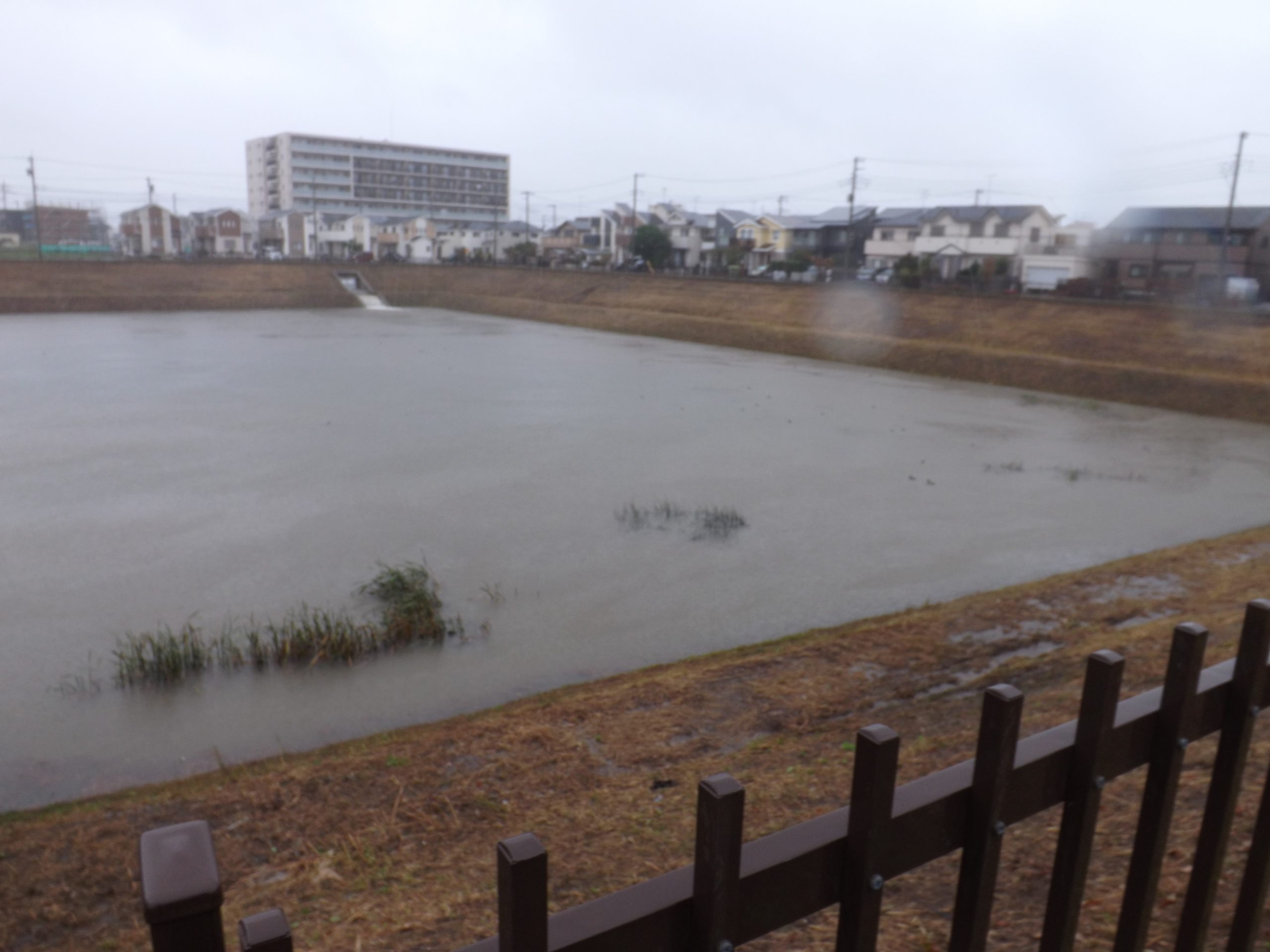 新設校予定地の木地区調整池２