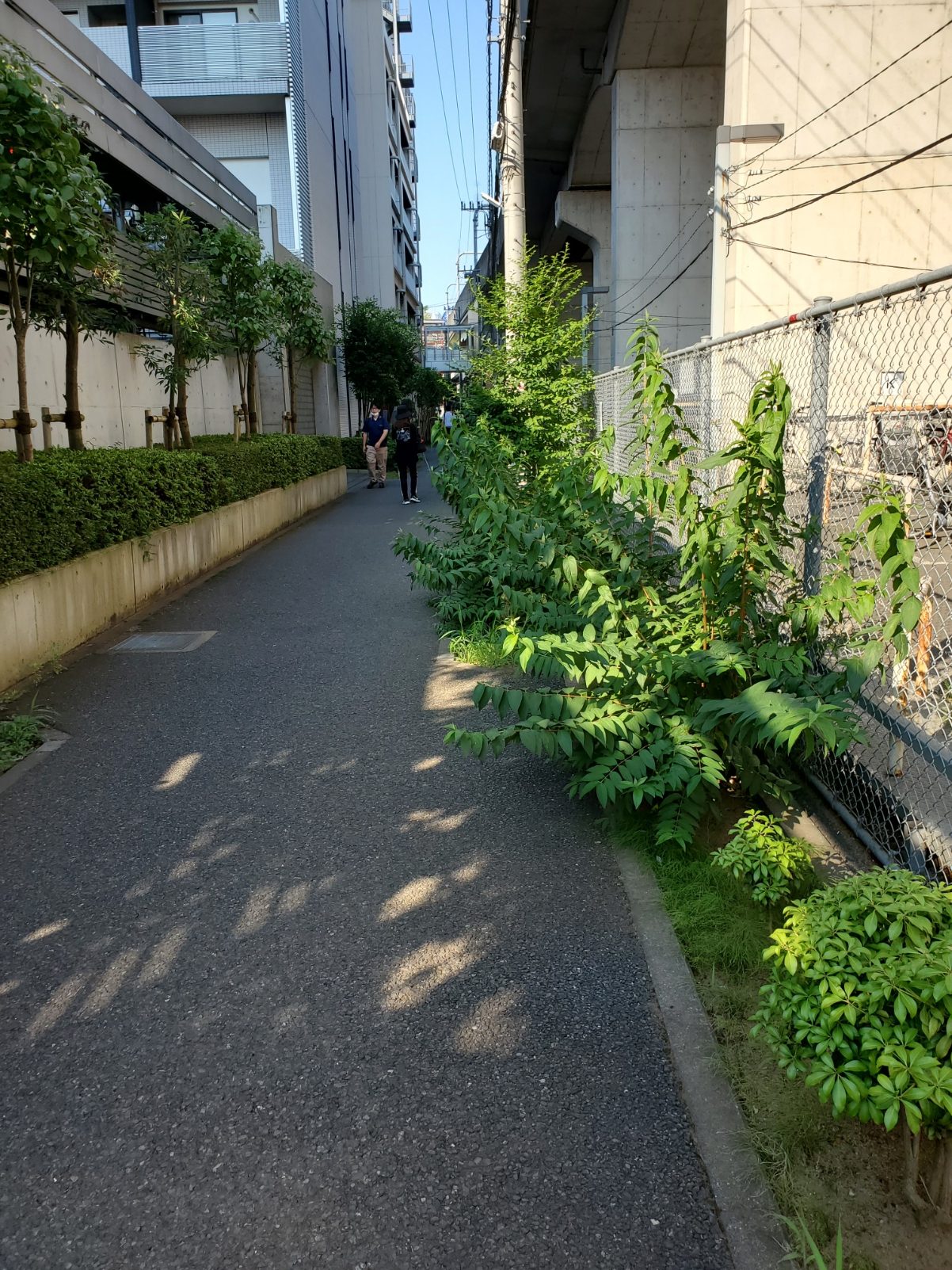 おおたかの森東　高架下の歩行者専用道路（守谷→秋葉原）