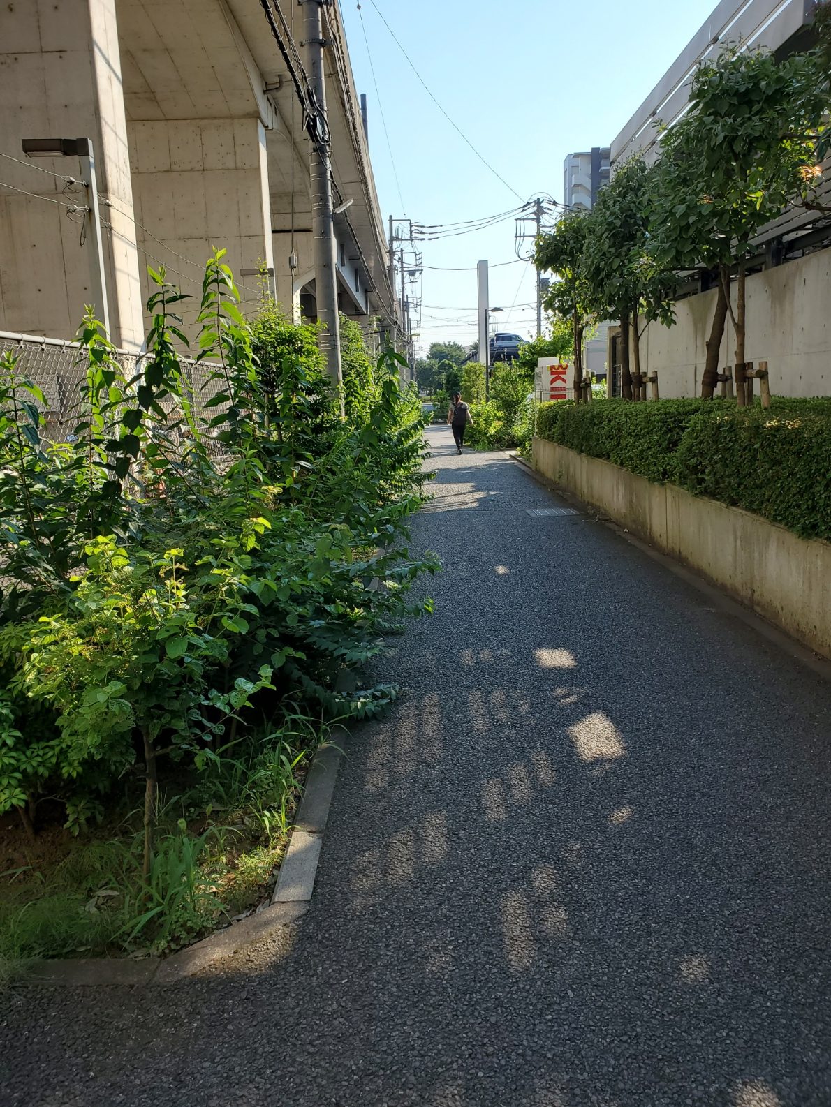 おおたかの森東　高架下の歩行者専用道路（秋葉原→守谷）
