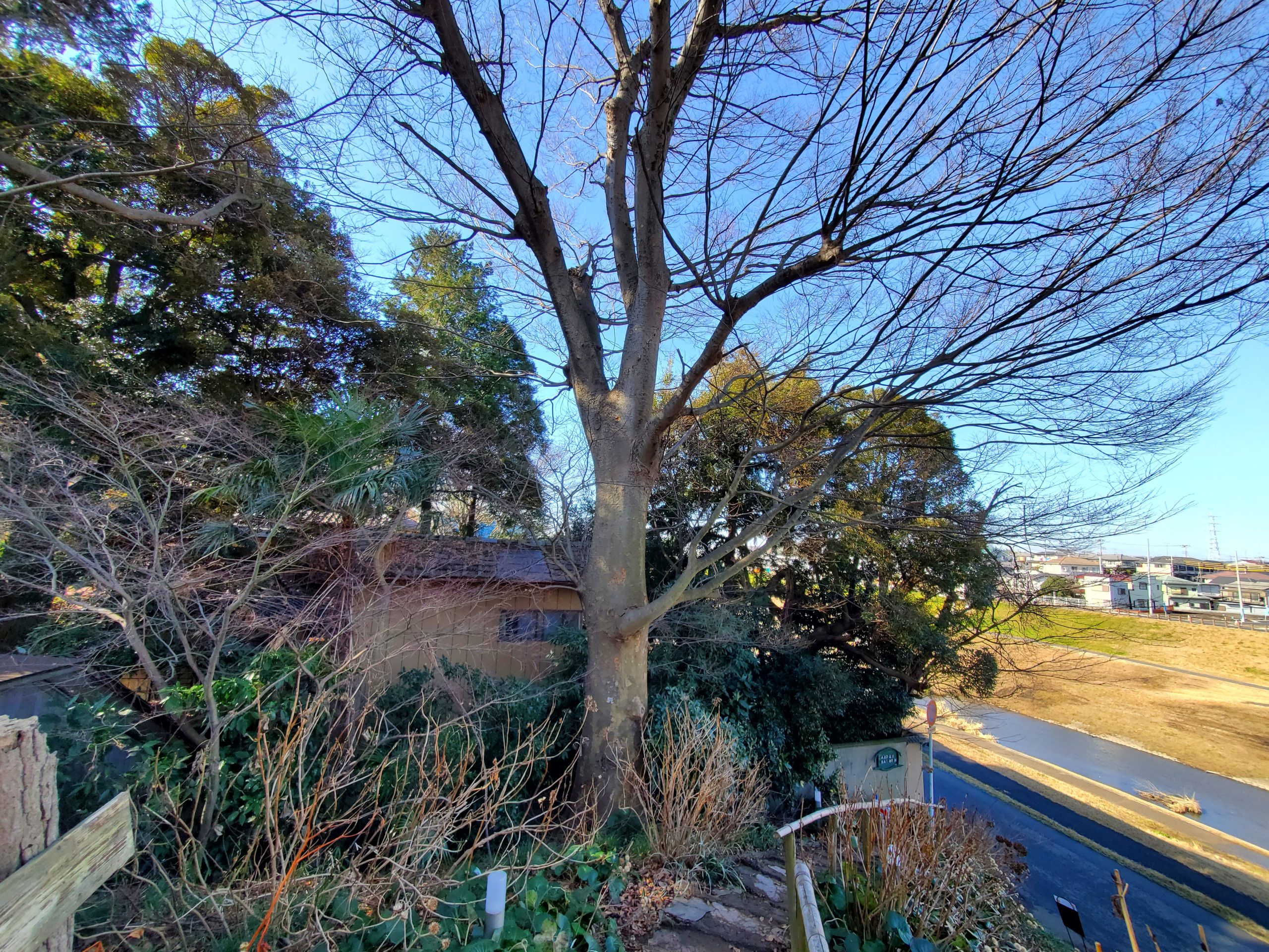 貴重な緑地も、維持管理には経費が掛かります