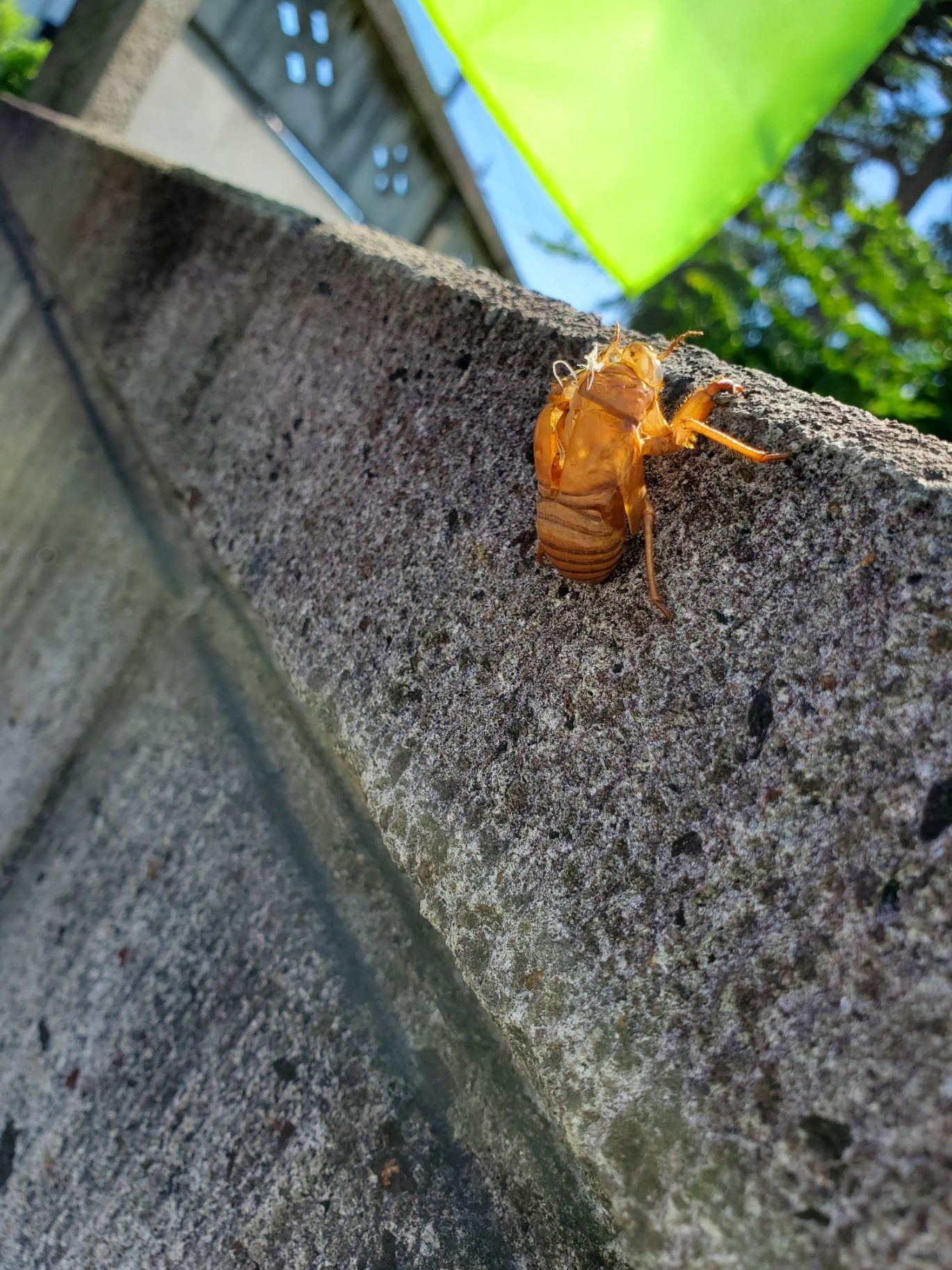 時には、地域の生存を垣間見る…