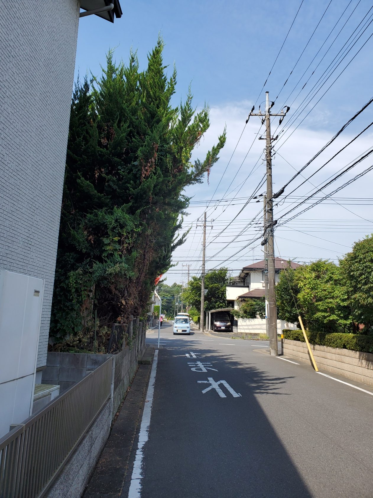 消防車両通貨に支障になっていた枝木の選定