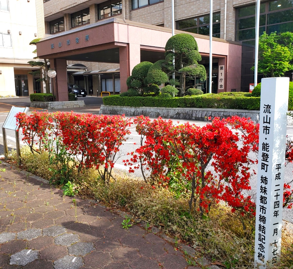 市役所前ののとキリシマツツジ（記念植樹）