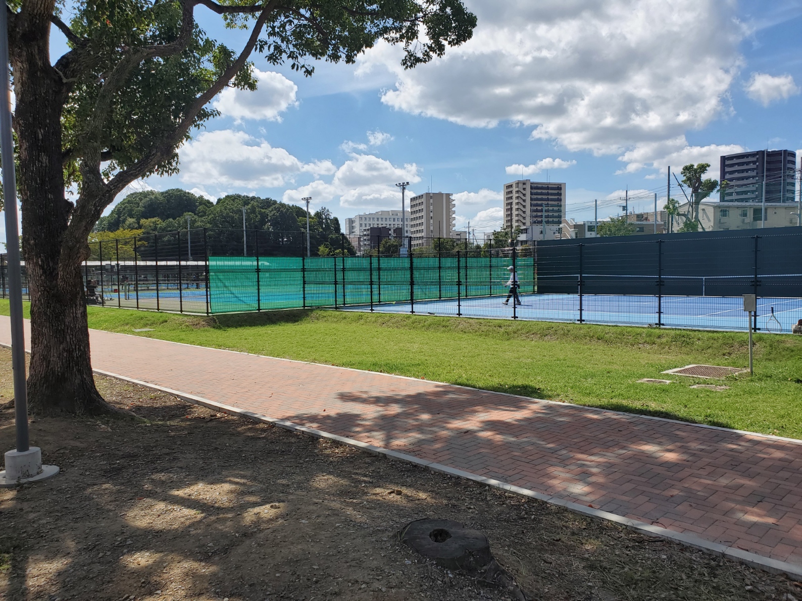 運動公園テニス場